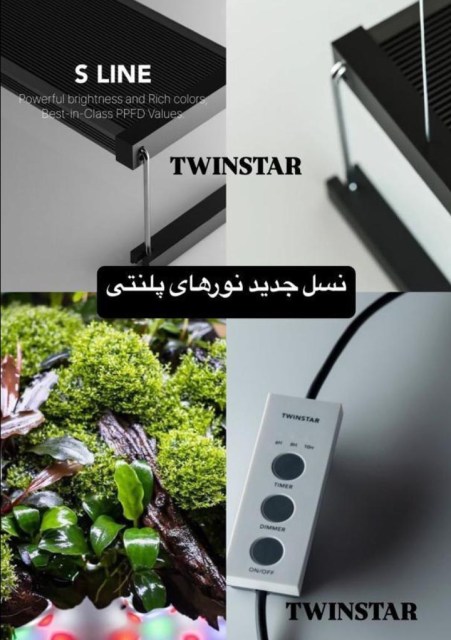 twinstar light 14030725 (11)